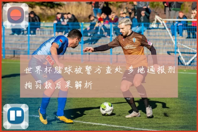 世界杯赌球被警方查处 多地通报刑拘罚款后果解析